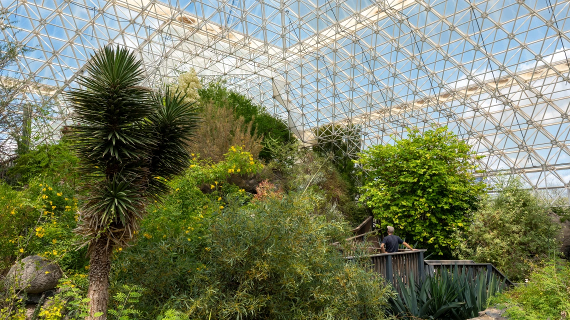 A man stands in the desert biome of Biosphere 2