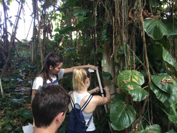 Students in the Tropical Rain Forest