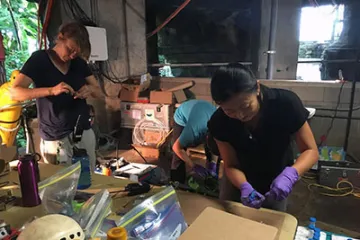 Processing samples